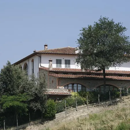 Bacco A Petroio Vinci